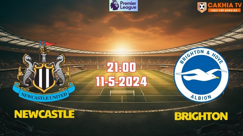 Newcastle - Brighton